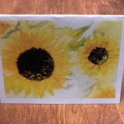 Down Wind Sports Gifts Sunflower Card 5 Pack