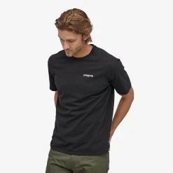 Patagonia Men's Fitz Roy Horizons Responsibili-Tee Apparel