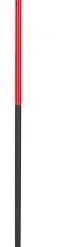 Down Wind Sports Rossignol Force 9 Pole Cross Country Skiing