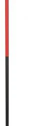 Down Wind Sports Rossignol Force 7 Pole