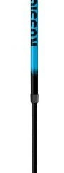 Down Wind Sports Rossignol Telescopic Jr. Pole