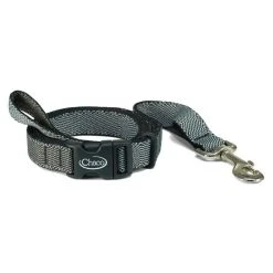 More Activities Chaco Dog Leash