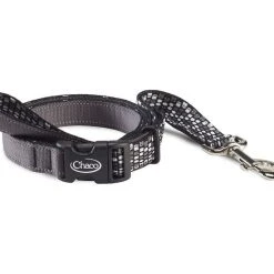 More Activities Chaco Dog Leash