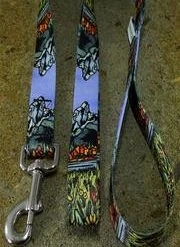 Mtn Straps 4 Ft Dog Leash