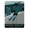 Down Wind Sports MONT RIPLEY STICKER Local Goods