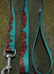 More Activities Mtn Straps 6 Ft Dog Leash