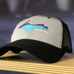 Down Wind Sports Upper Peninsula Logo Hat