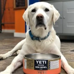 Yeti Boomer Dog Bowl More Activities 9 Yeti Boomer Dog Bowl More Activities