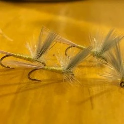 Down Wind Sports Thorax Pale Morning Dun Fly Fishing