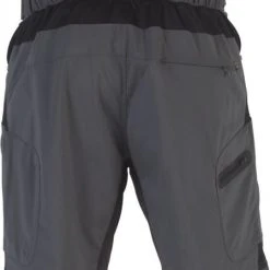 Down Wind Sports Zoic Ether Short 9" W/Liner Bike Apparel
