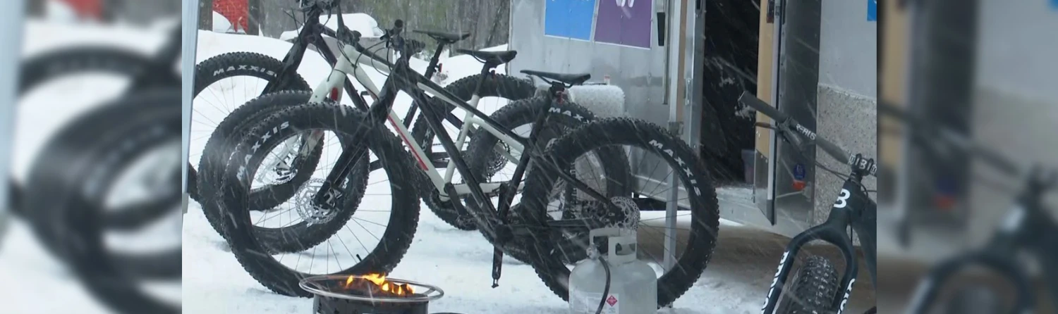 Down Wind Sports Sales -Down Wind Sports Sales bike.1